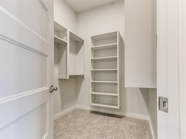 spacious closet featuring light carpet