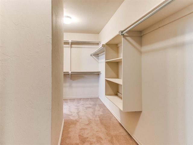 spacious closet featuring light carpet