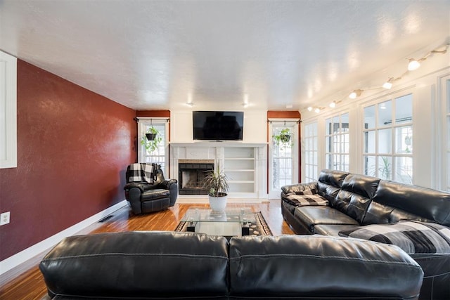 living room featuring wood-type flooring