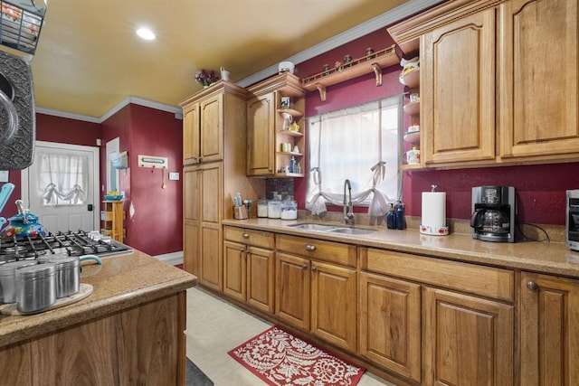 kitchen featuring sink, crown molding, and stainless steel gas stovetop