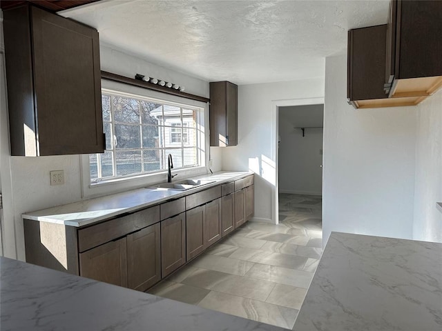 kitchen with sink and dark brown cabinets