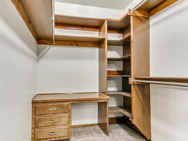 walk in closet with light carpet