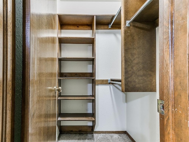 walk in closet featuring carpet floors