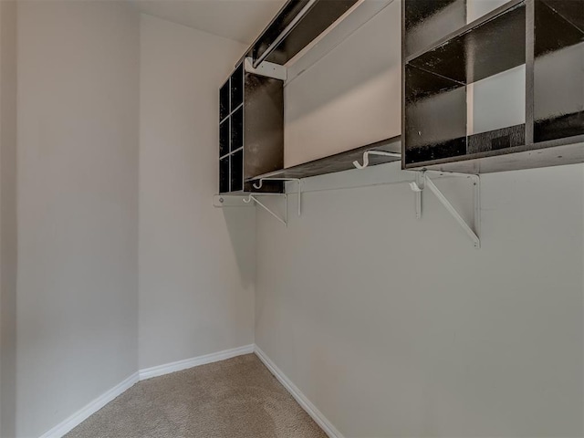 spacious closet with carpet