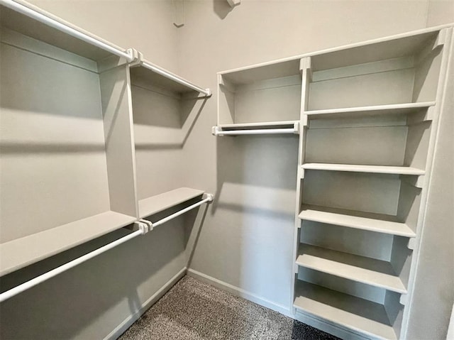 walk in closet with carpet flooring