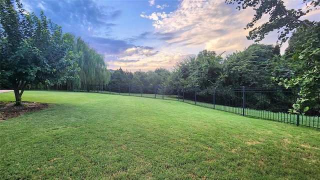 view of yard at dusk