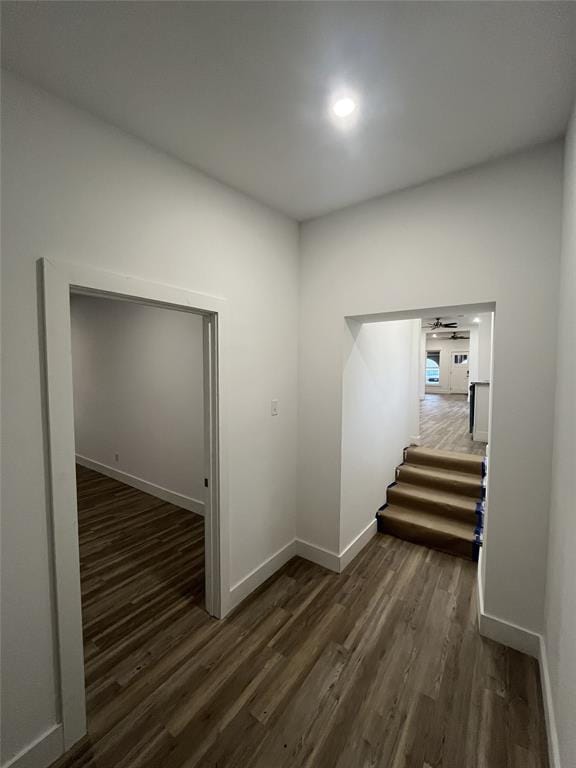 hall with dark hardwood / wood-style floors