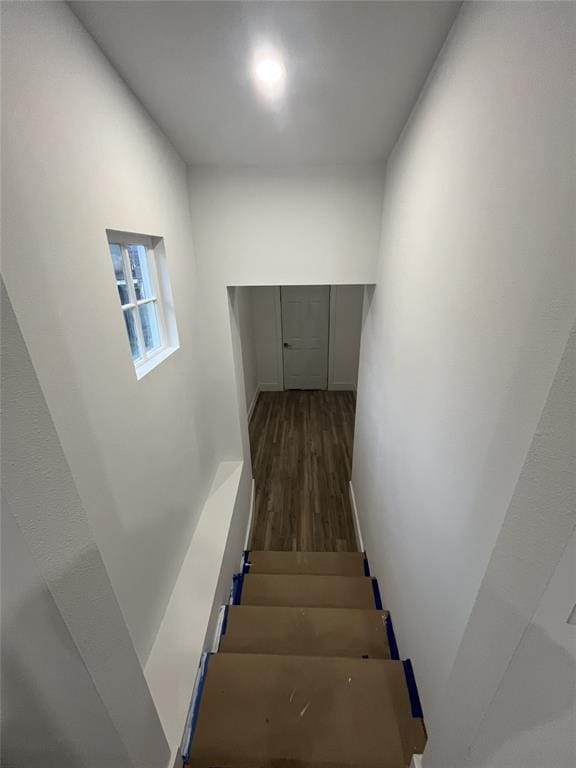 staircase featuring hardwood / wood-style flooring