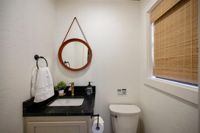 bathroom featuring vanity, a healthy amount of sunlight, and toilet