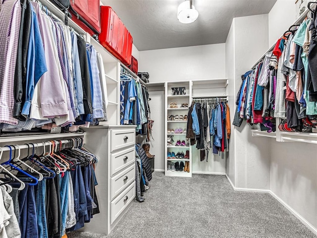 walk in closet with light carpet