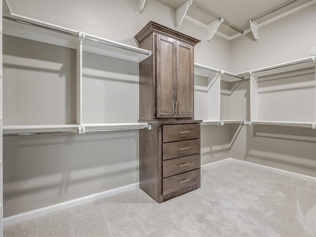 walk in closet with carpet floors