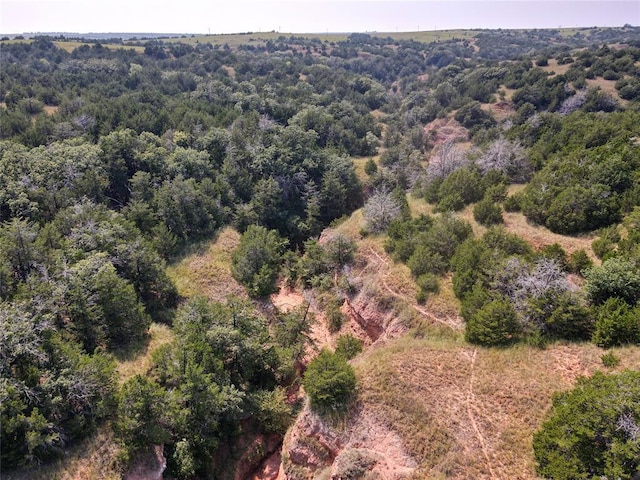 N 2360 Road, Thomas, OK 73669