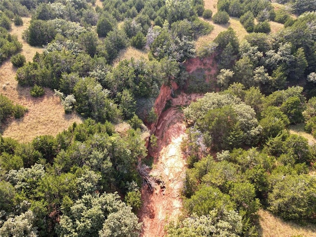 N 2360 Road, Thomas, OK 73669