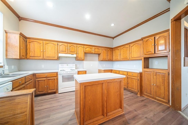 kitchen with electric range, sink, dark wood-type flooring, and ornamental molding