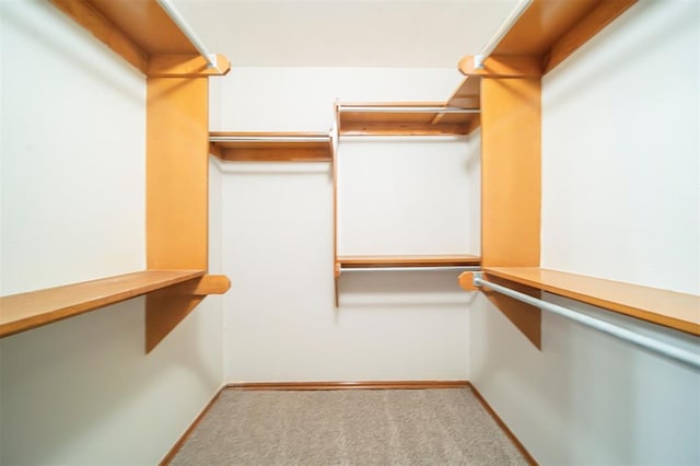 walk in closet featuring light colored carpet