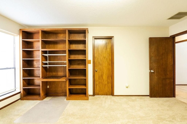 interior space with light carpet