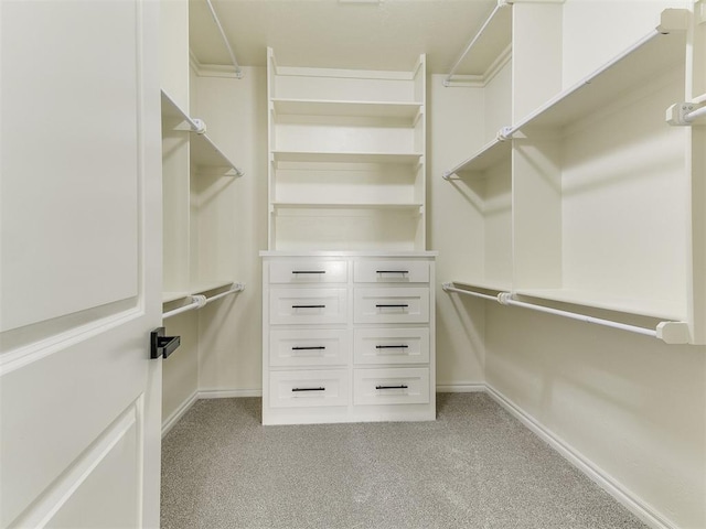 spacious closet with light colored carpet