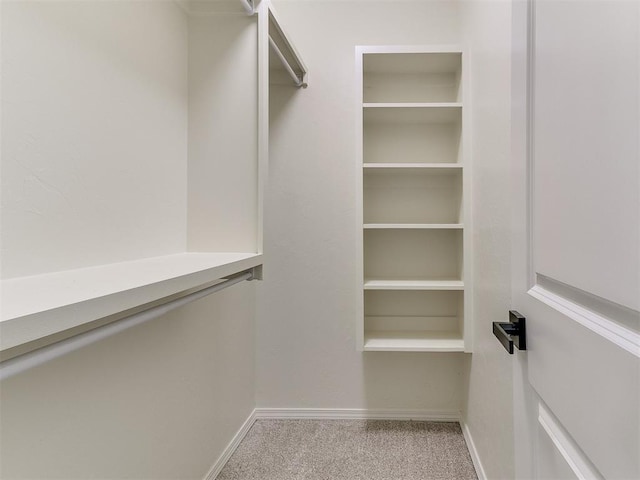 spacious closet featuring light colored carpet