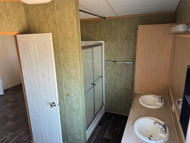 bathroom with vanity, wood-type flooring, and a shower with shower door