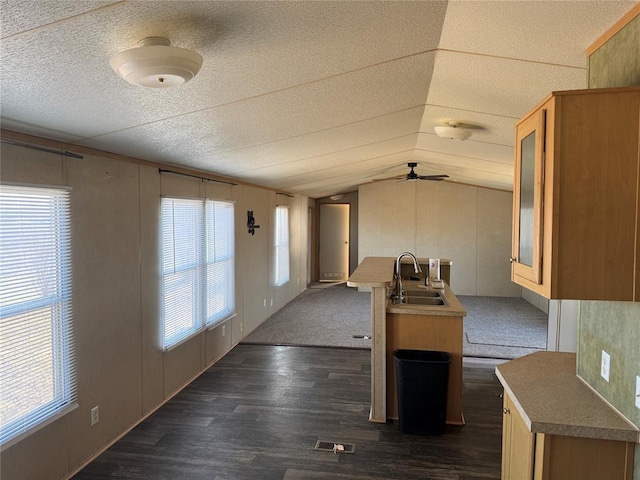 kitchen featuring dark wood-type flooring, sink, vaulted ceiling, a center island with sink, and a textured ceiling