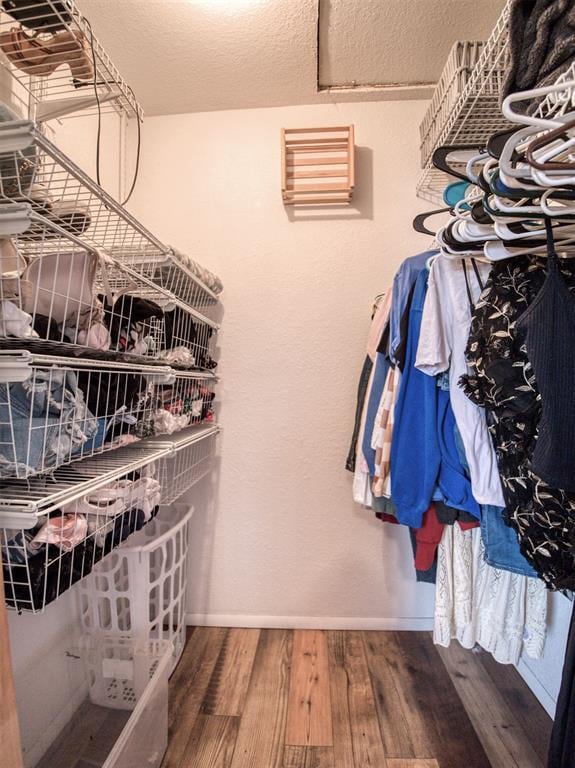 spacious closet with hardwood / wood-style flooring