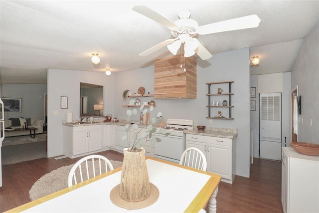 dining area featuring ceiling fan, dark hardwood / wood-style flooring, and sink