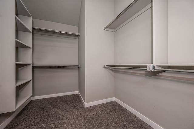 spacious closet with dark colored carpet