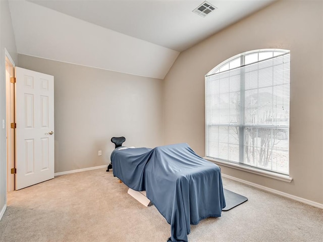 carpeted bedroom with lofted ceiling