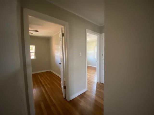 corridor with hardwood / wood-style flooring