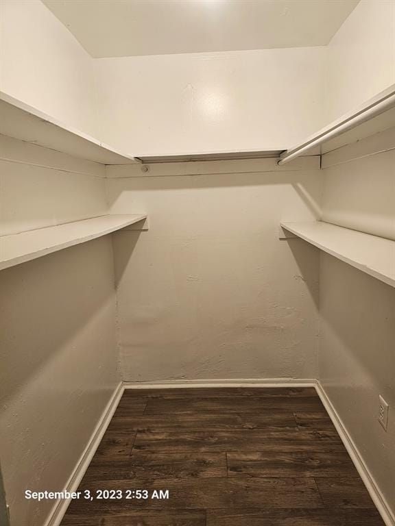 walk in closet with dark hardwood / wood-style flooring