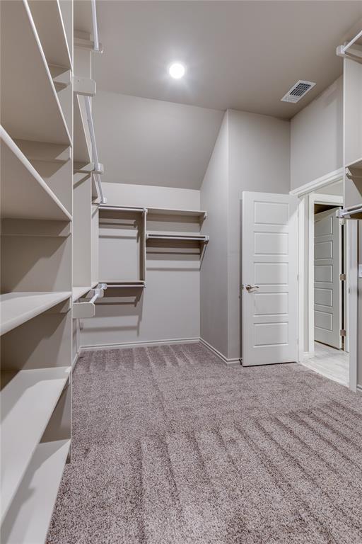 walk in closet with carpet floors