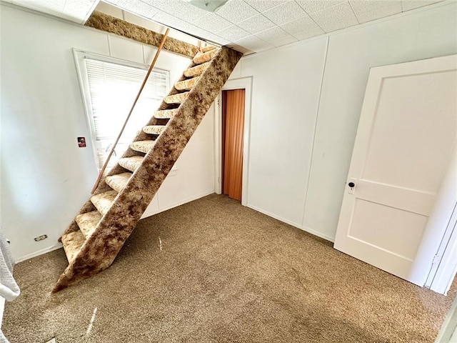 basement featuring carpet flooring