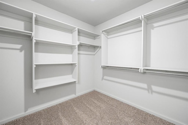 spacious closet featuring carpet floors