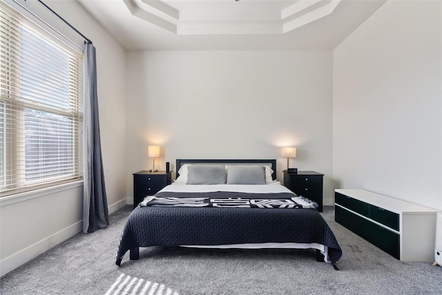 carpeted bedroom with a raised ceiling