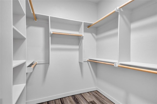 walk in closet with hardwood / wood-style floors