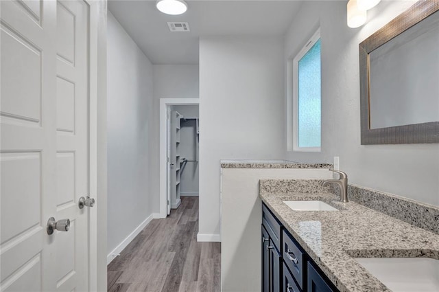 bathroom with a wealth of natural light, hardwood / wood-style floors, and vanity