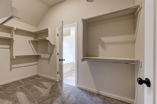 spacious closet with carpet flooring and lofted ceiling