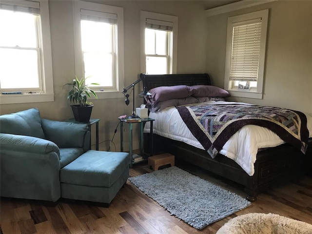 bedroom featuring wood-type flooring