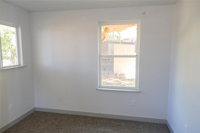 empty room with carpet floors and a wealth of natural light