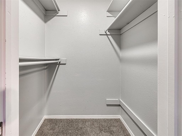 walk in closet with carpet