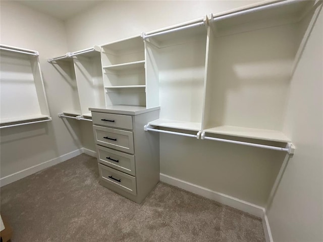 2402 Black Jack Way, Blanchard, OK 73010 - walk in closet with dark colored carpet