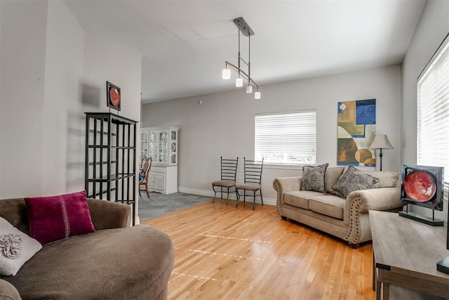 living room featuring wood-type flooring