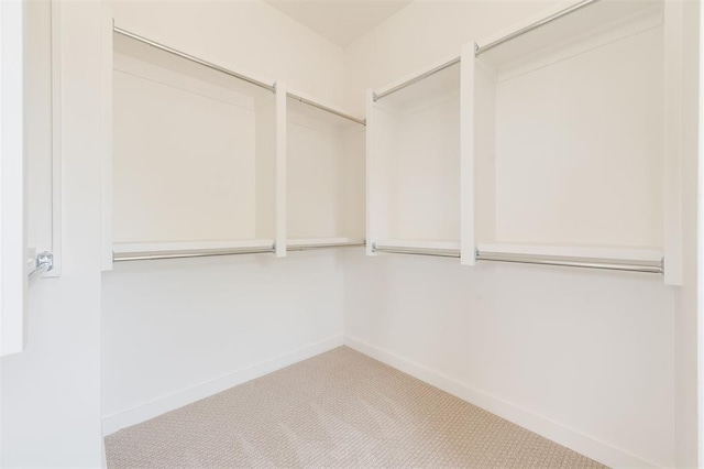 spacious closet with light colored carpet