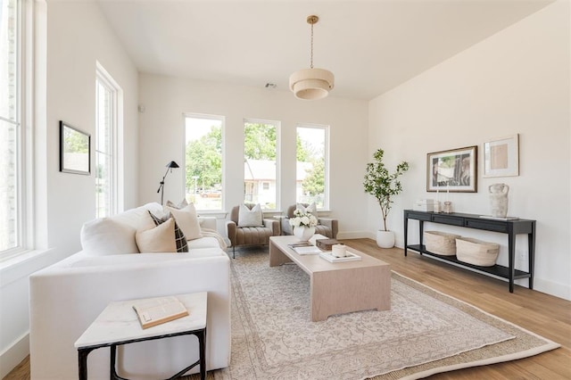 living room featuring light hardwood / wood-style floors