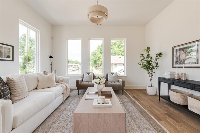 living area featuring baseboards and light wood-style floors