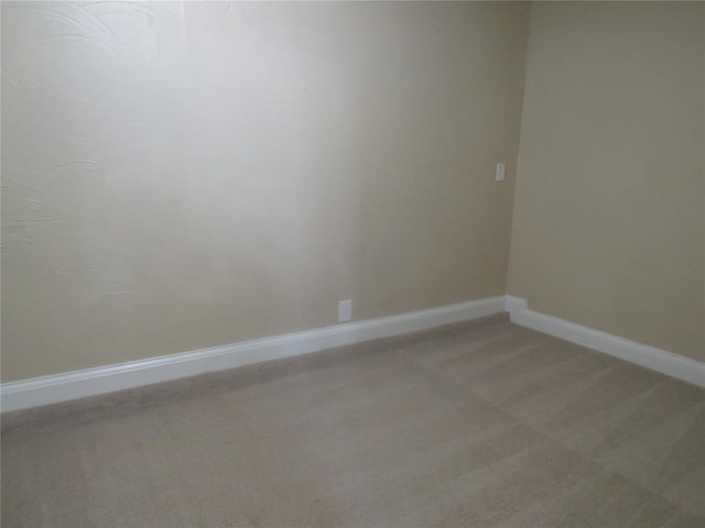 empty room featuring carpet floors