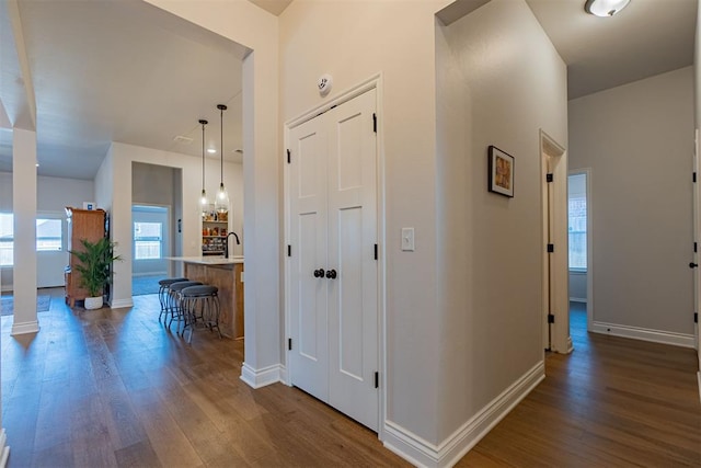 corridor with dark hardwood / wood-style flooring and sink