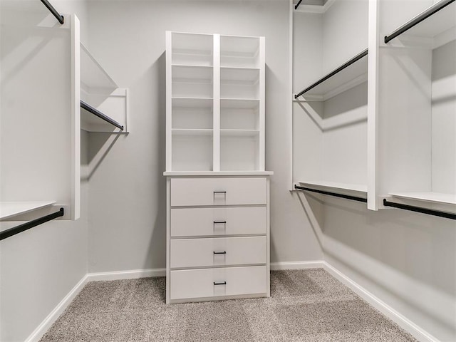 walk in closet featuring light colored carpet