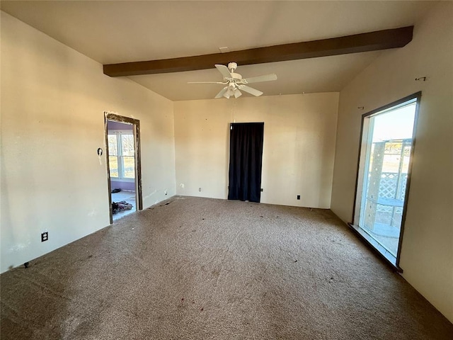 carpeted empty room with beam ceiling, a wealth of natural light, and ceiling fan