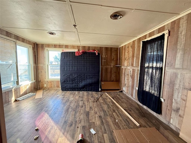 interior space featuring hardwood / wood-style flooring and wood walls